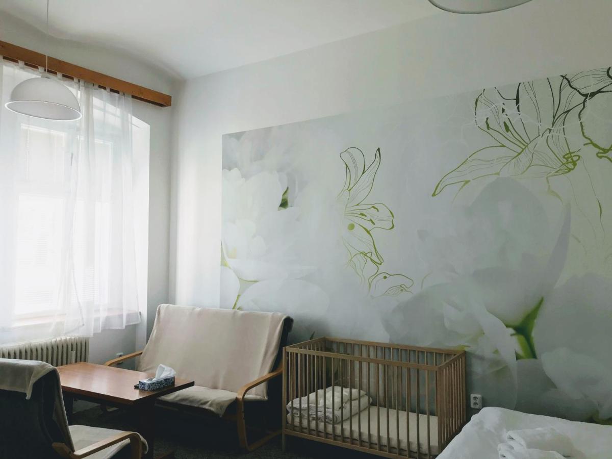 Апартаменты Apartman Na Namesti Opocno Экстерьер фото